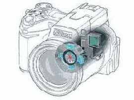 LBCAST-  Nikon